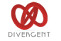 Divergent Marketing Services Limited logo